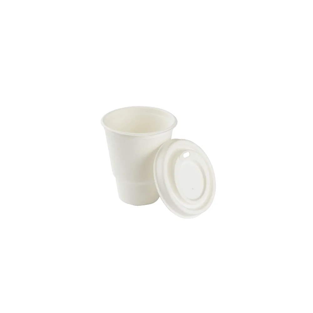220 ml/8 oz Bardak, şeker kamışı küspesinden (bagas) üretilmiş tek kullanımlık kap
